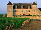 Clos de Vougeot Vineyard Vougeot France